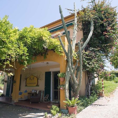 B&B La Casa Dei Gelsi Loano Ngoại thất bức ảnh